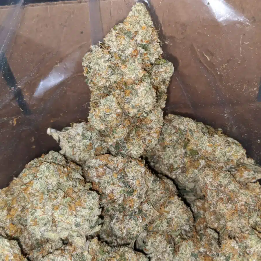 Caramel Cookies 4 I $ 69 Oz - Caramel Cookies