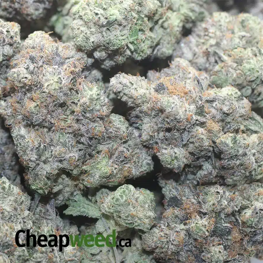 DEATH STAR 1 1 I $ 120 Oz - Death Star AAAA
