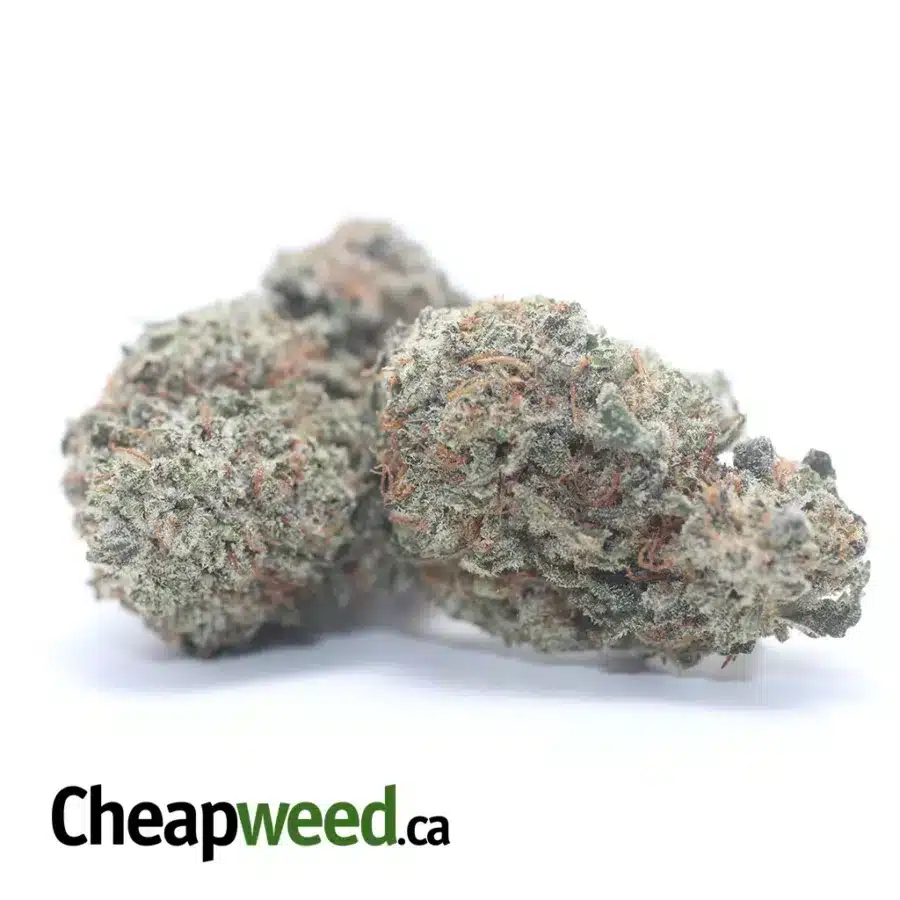 DONKEY PUNCH 3 I $ 43 Oz - Donkey Punch