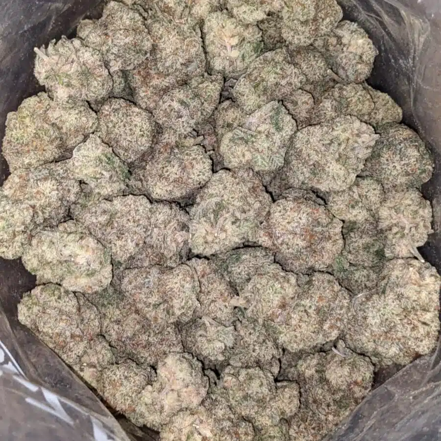 Diesel 3 I Diesel