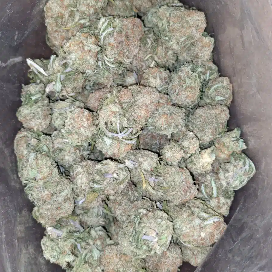 Fruit Pebbles 1 I $ 46 Oz - Fruit Pebbles