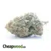 Garlic Breath #2