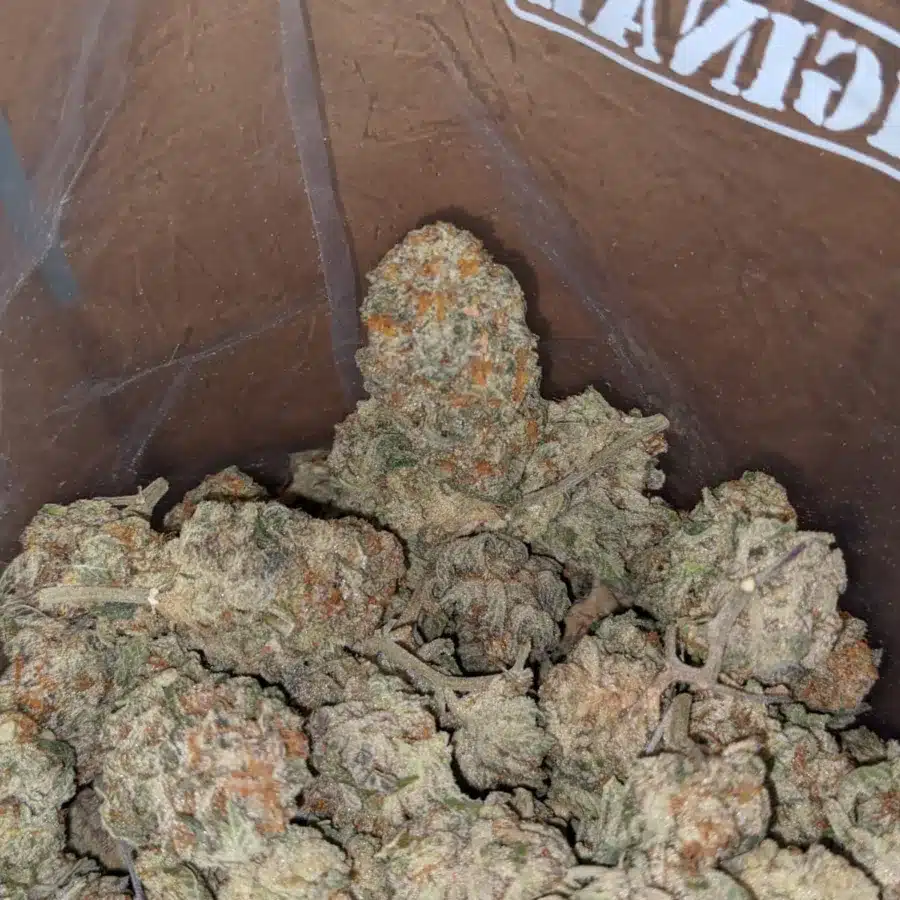 Garlic breath 3 I Garlic Breath #2