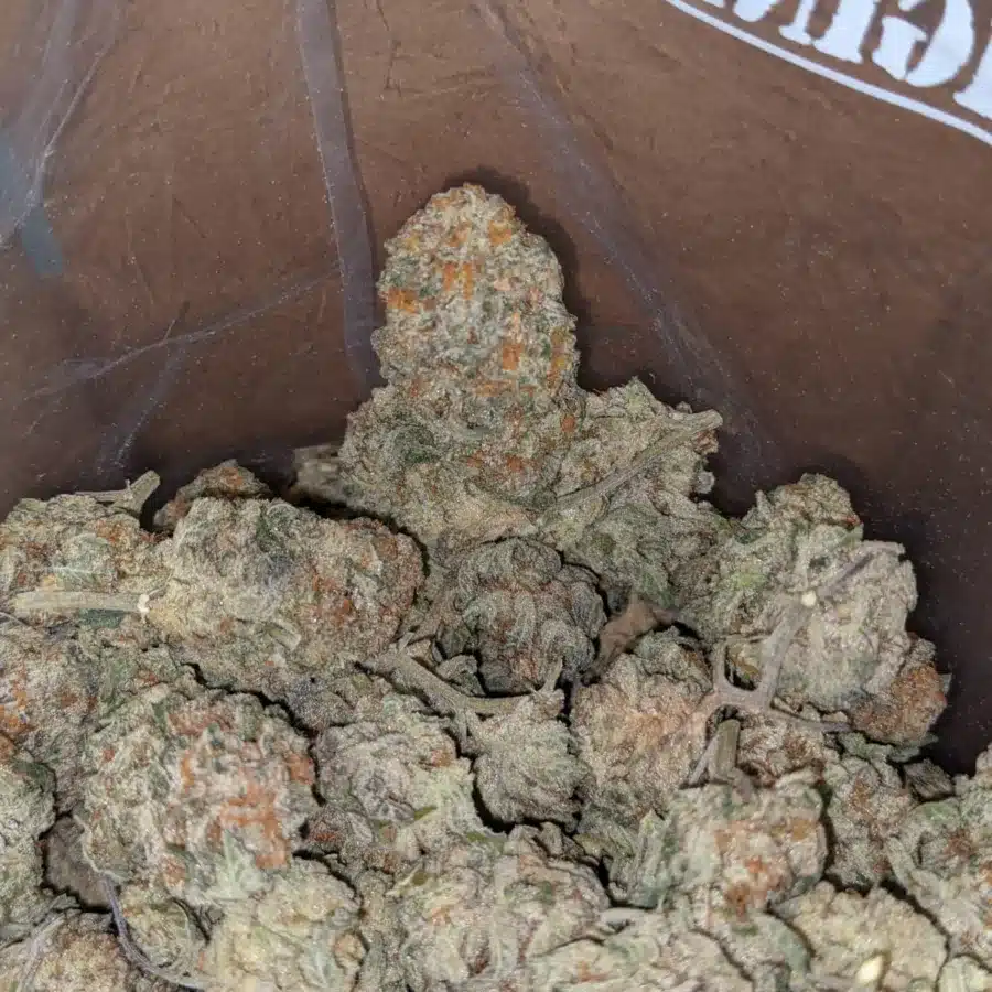 Garlic breath 4 I Garlic Breath #2