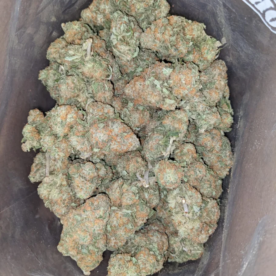 Greenfarm Nuken 1 I Greenfarm's Nuken