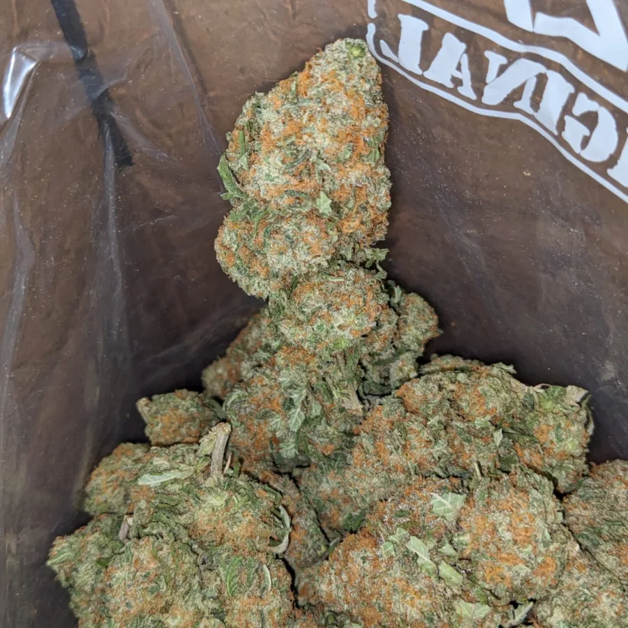 Greenfarm Nuken 3 I Greenfarm's Nuken