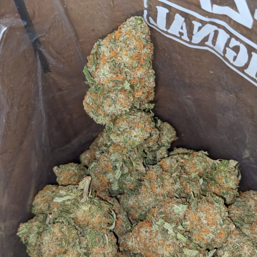 Greenfarm Nuken 4 I Greenfarm's Nuken