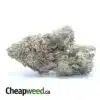 Hashplant