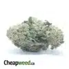 $ 43 Oz - Headband