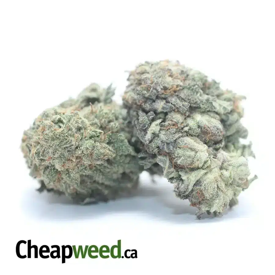 Alternative view of $ 43 Oz - Headband