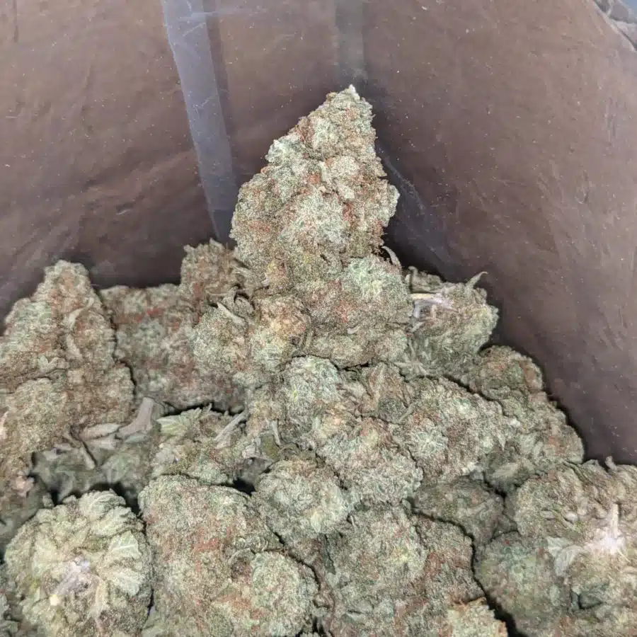Headband 1 1 I $ 44 Oz - Headband