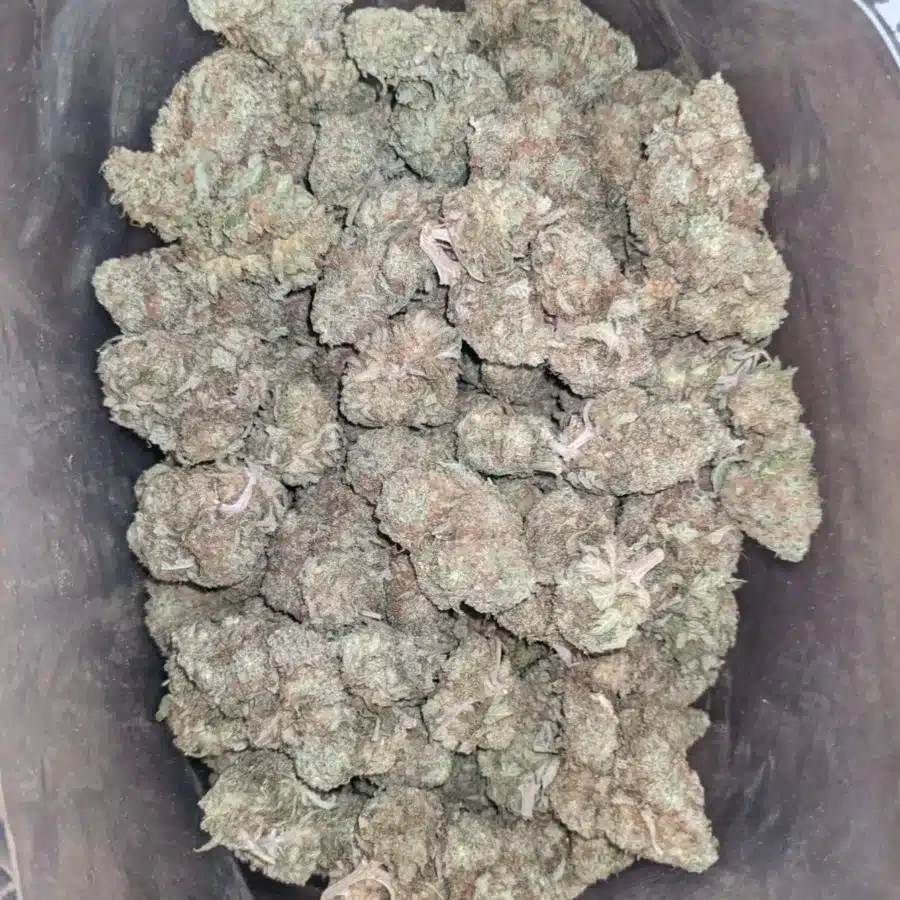 Headband 2 1 I $ 44 Oz - Headband