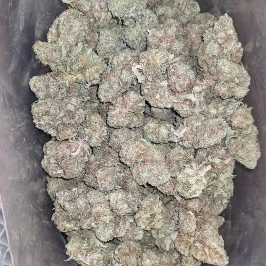 Headband 3 1 I $ 44 Oz - Headband