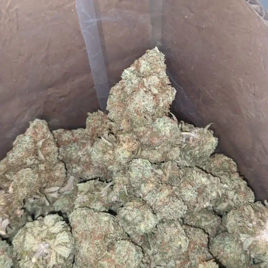Headband 4 I $ 44 Oz - Headband