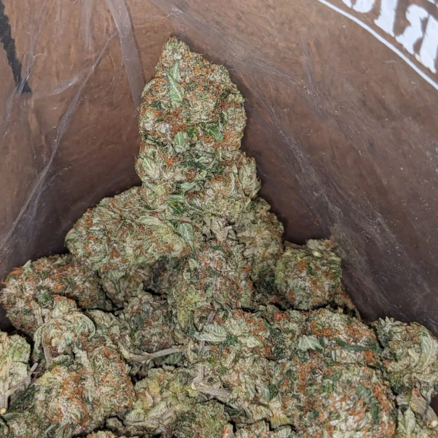King Louis - Image 3