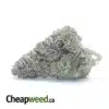 $ 47 Oz - Purple Runtz