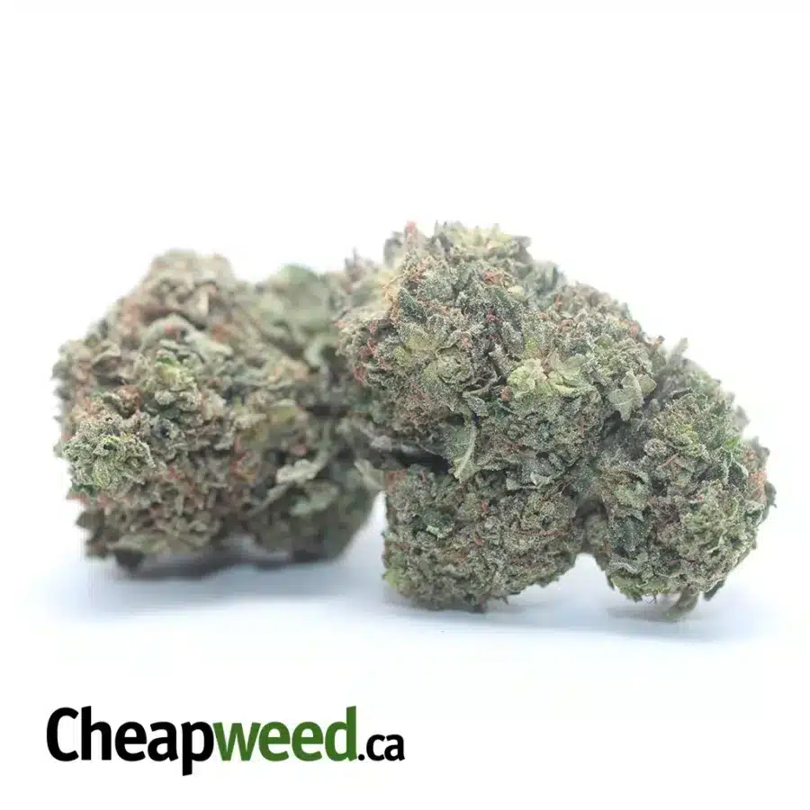 PURPLE WRECK 3 I Purple Wreck