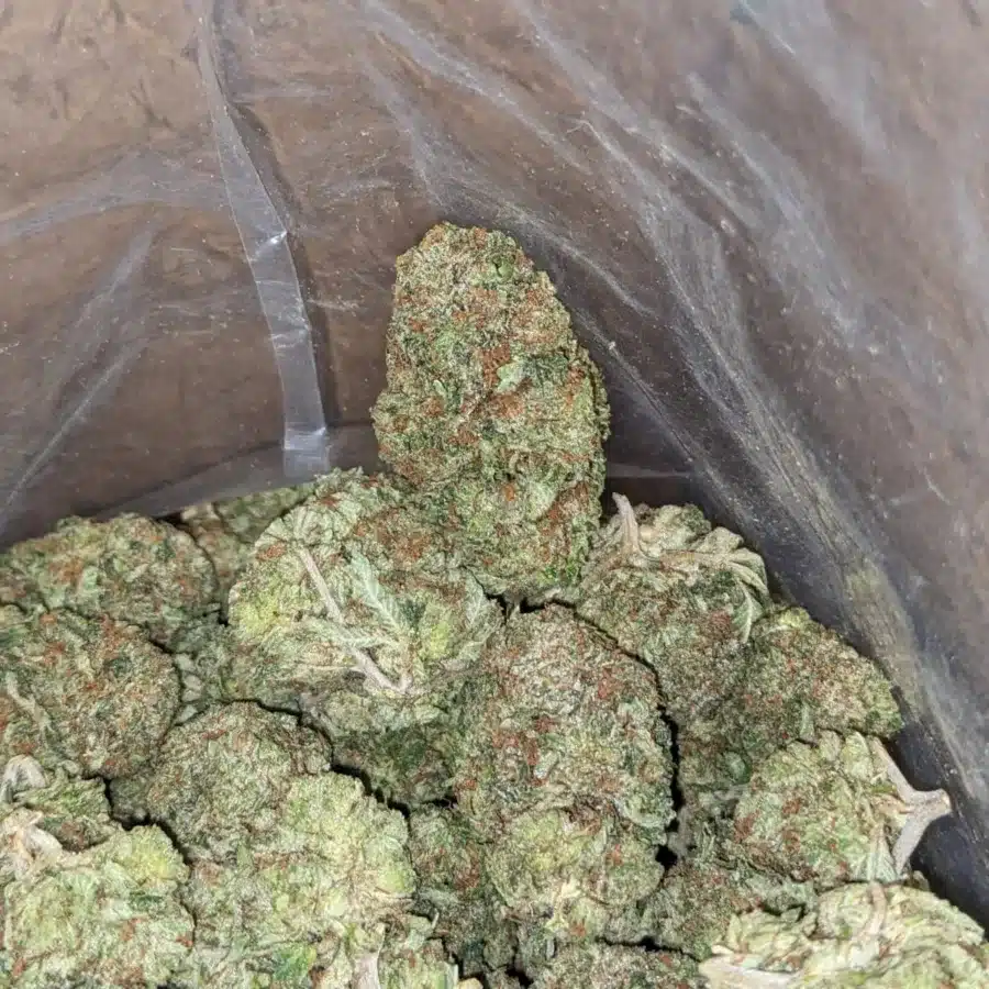 Alternative view of Pink OG