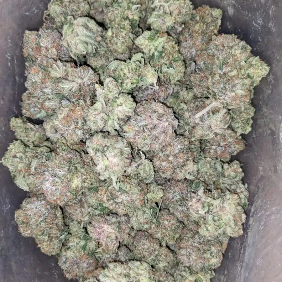 Pink Tuna Kush