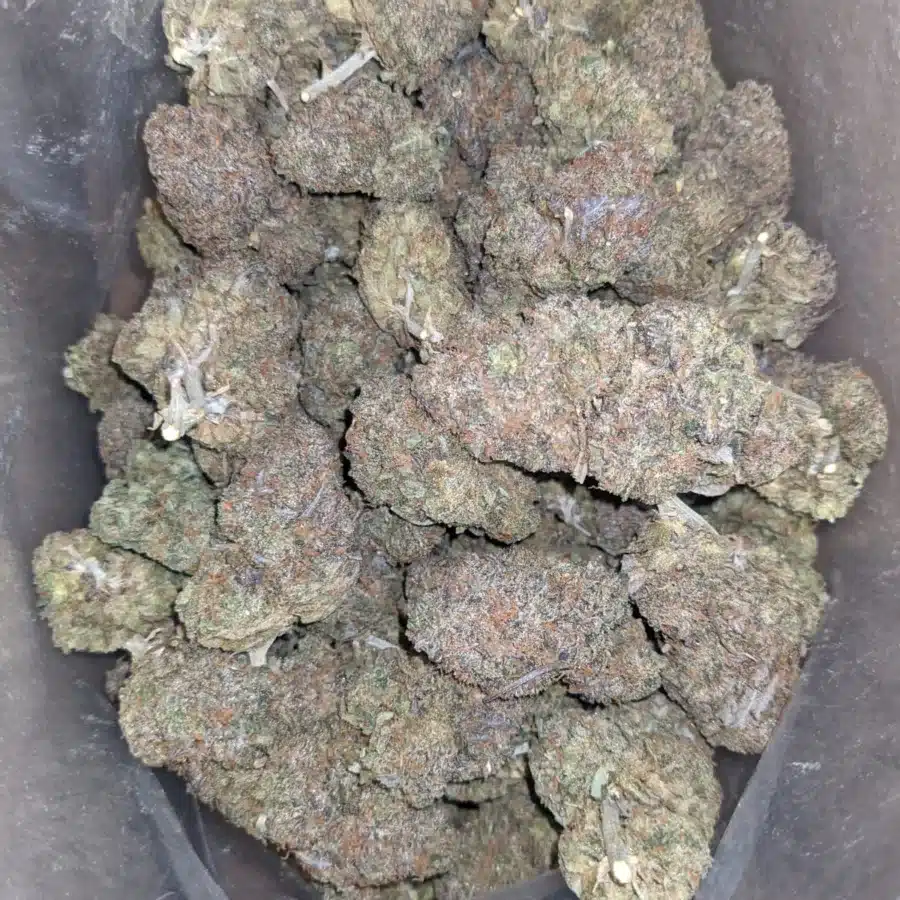 Purple runtz 1 1 I $ 52 Oz - Purple Runtz