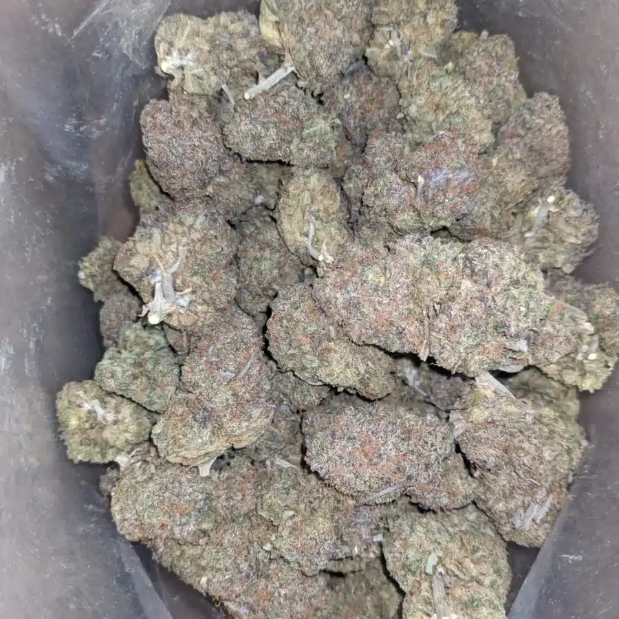 Purple runtz 2 1 I $ 52 Oz - Purple Runtz