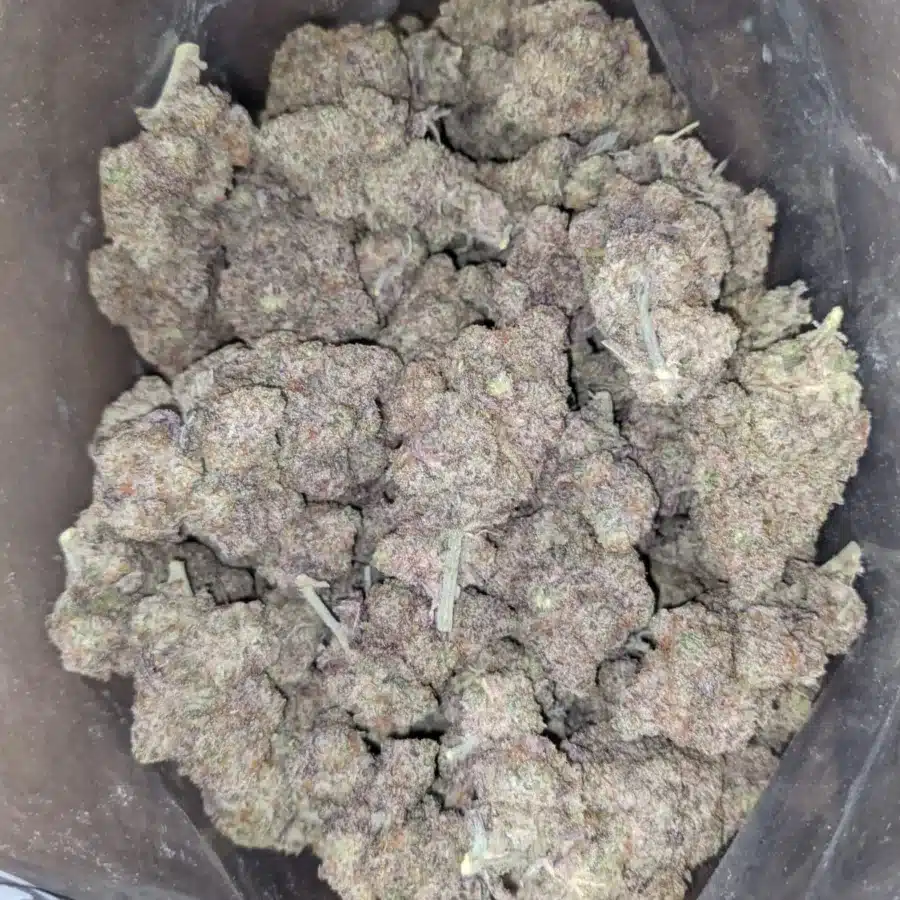 Purple stardawg 2 1 I $ 50 oz - Purple Stardawg