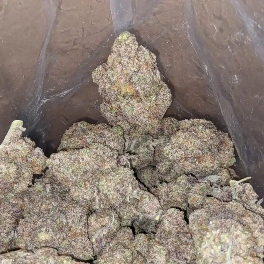 Purple stardawg 4 I $ 50 oz - Purple Stardawg