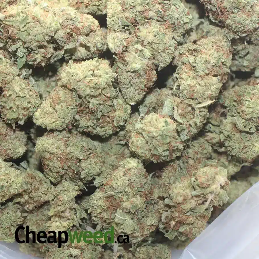 ROCKETFUEL 1 I $ 44 Oz - Rocket fuel