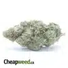 $ 44 Oz - Rocket fuel