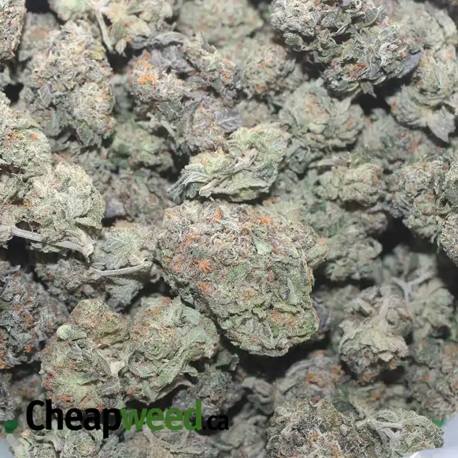 RUNTZ 1 I $ 42 Oz - Runtz