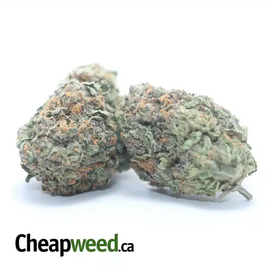 Alternative view of $ 42 Oz - Runtz