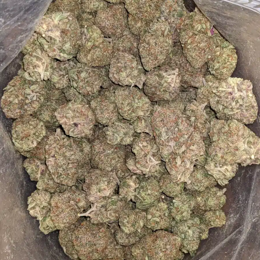 Rockbud 1 I $ 66 Oz - Rockbud