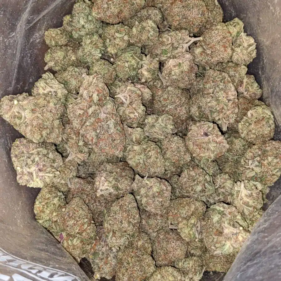 Rockbud 4 I $ 66 Oz - Rockbud