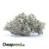 Silver Kush