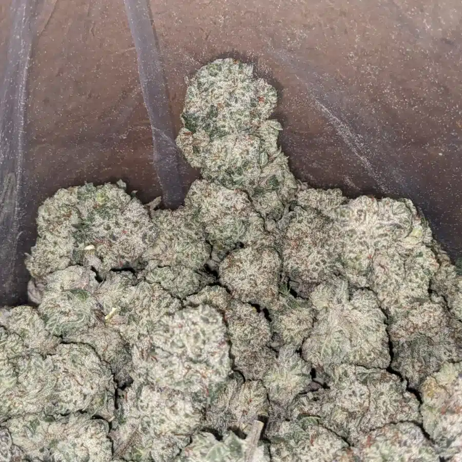 Snow White 1 I $ 56 Oz - Snow White