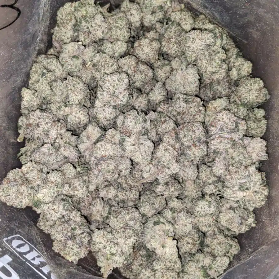 Snow White 3 I $ 56 Oz - Snow White
