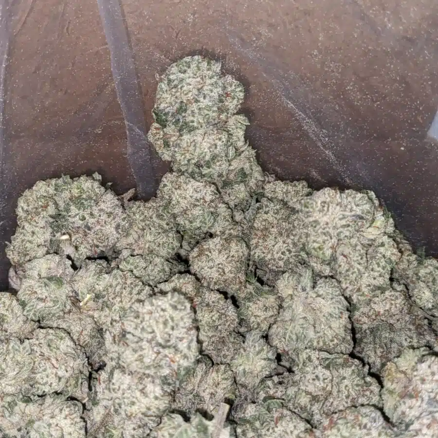 Snow White 4 I $ 56 Oz - Snow White