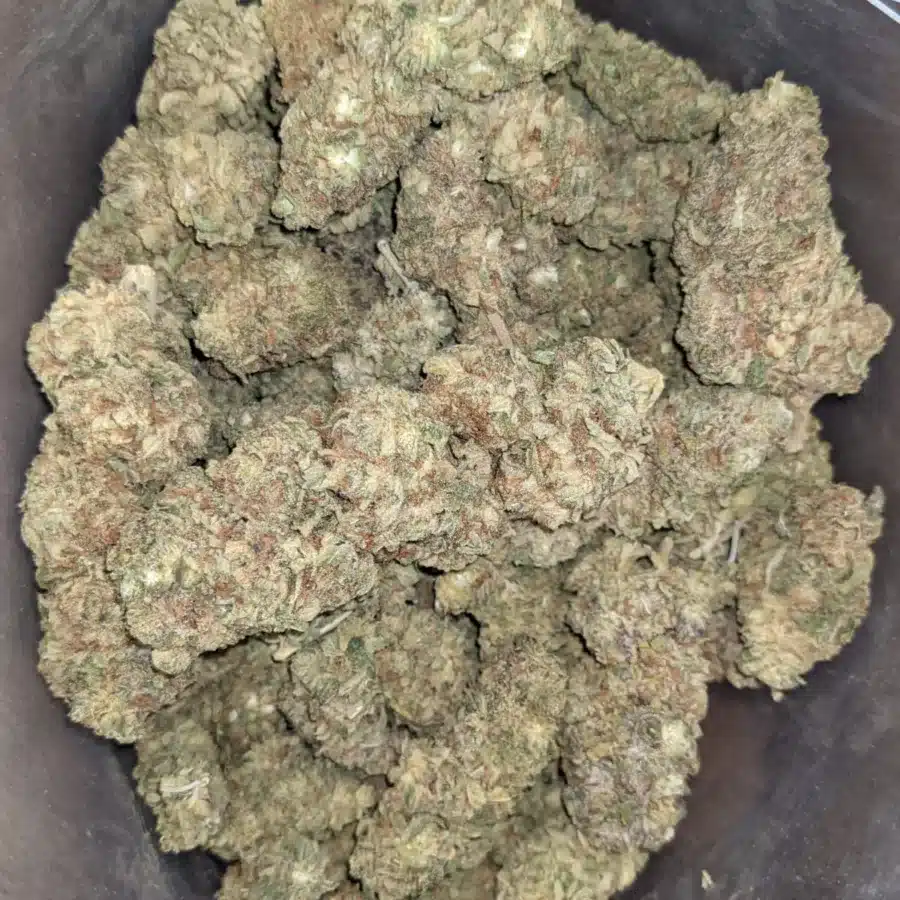 Sweet Kush bulk specula 4 I Sweet Kush Bulk Special