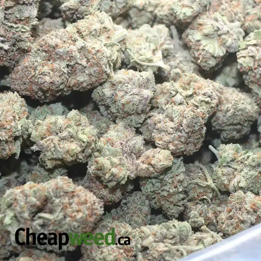 ULTRA SOUR 1 1 I Ultra Sour