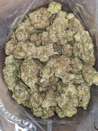 WhiteFire OG 1 I Legacy