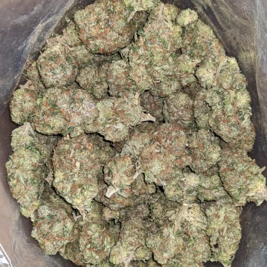 WhiteFire OG 2 I WiFi OG