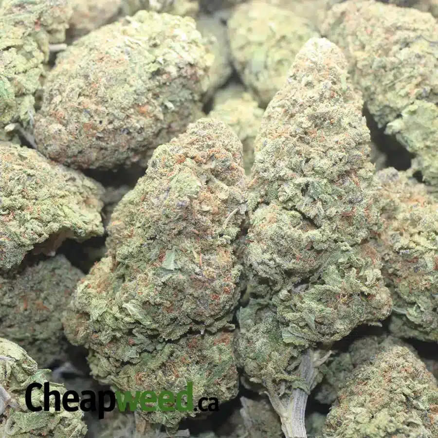 Alaskan Thunder Fuck 33% Thca Bulk main image 1
