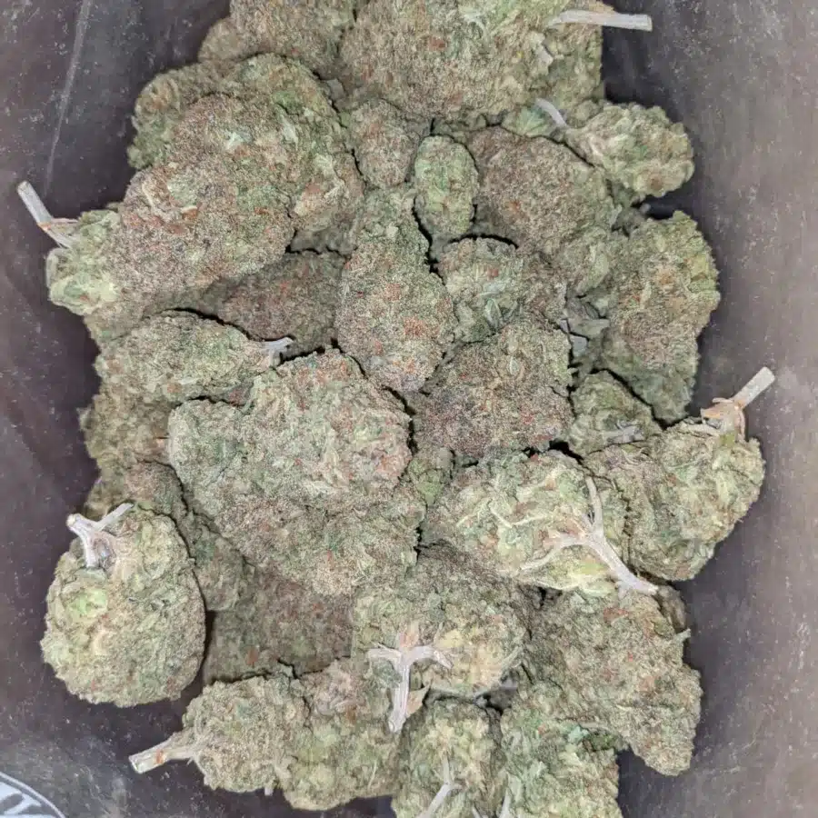 Alaskan thunder fuck flat rate 2 I $46 Oz Alaskan ThunderFuck