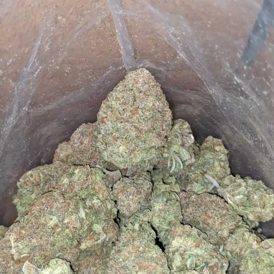 Alaskan thunder fuck flat rate 3 I $46 Oz Alaskan ThunderFuck