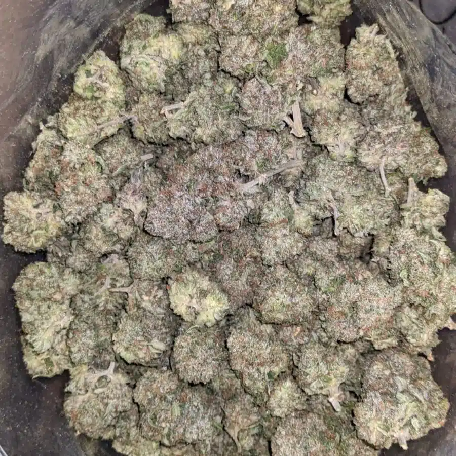 Bubba Wreck 5 I Bubba Wreck