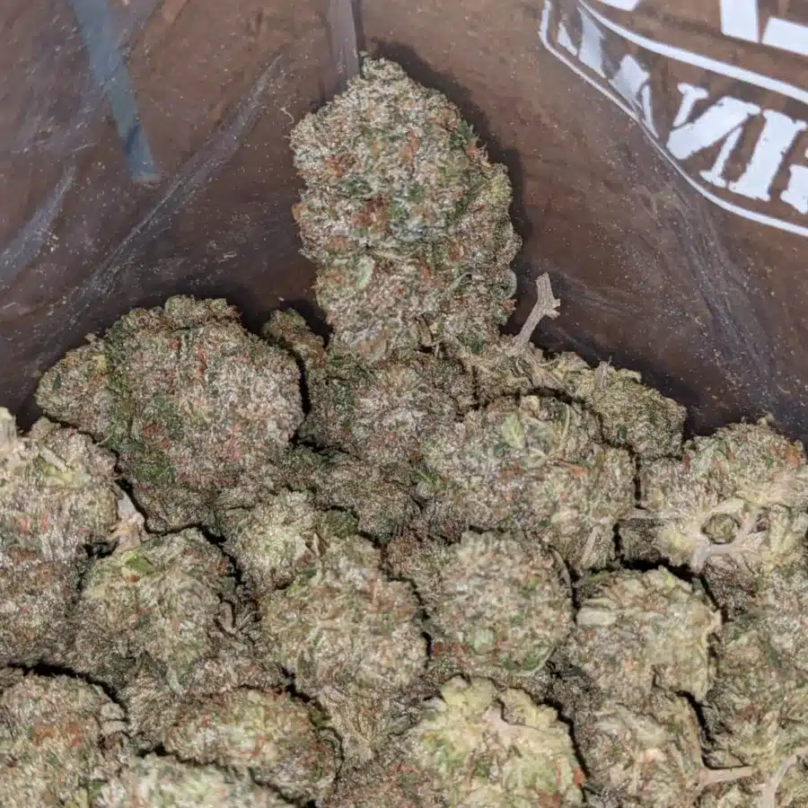 Bubba Wreck 6 I Bubba Wreck