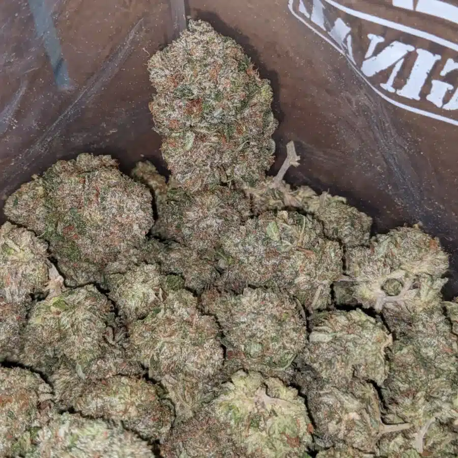 Bubba Wreck 7 I Bubba Wreck