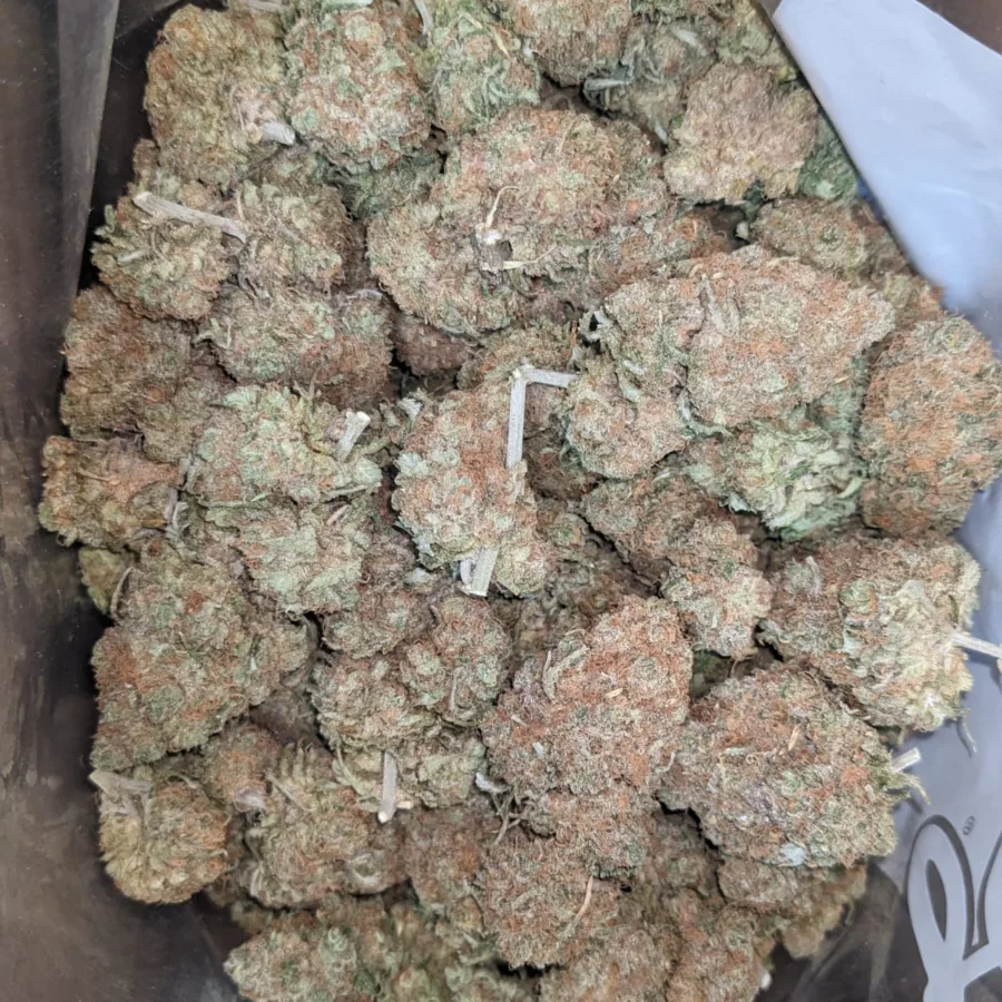 Chocolope 2 1 I Chocolope