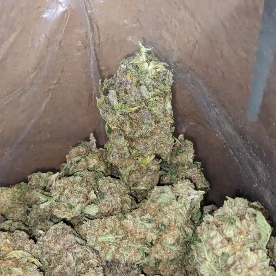 Citrus 1 I $ 47 Oz - Citrus