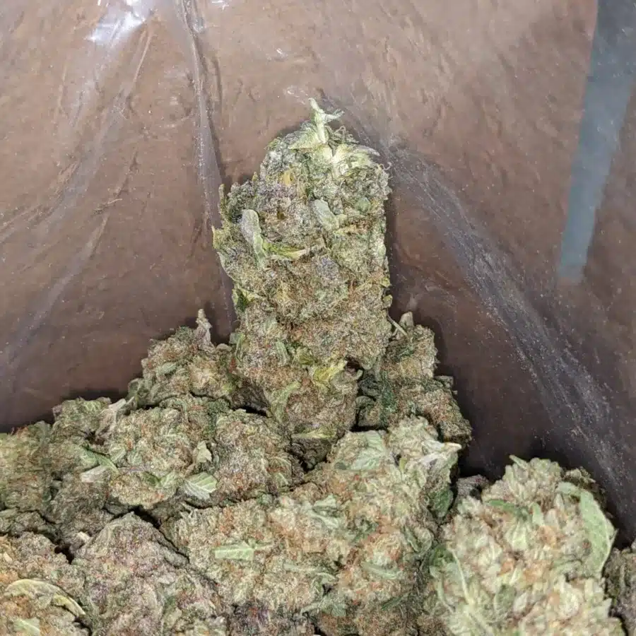 Citrus 4 I $ 47 Oz - Citrus